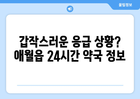 제주도 제주시 애월읍 24시간 토요일 일요일 휴일 공휴일 야간 약국