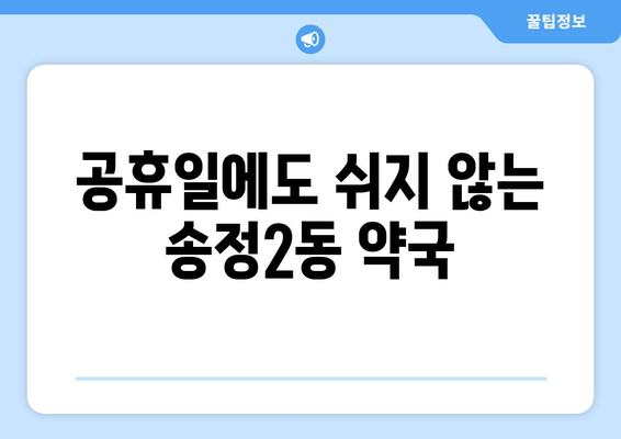 광주시 광산구 송정2동 24시간 토요일 일요일 휴일 공휴일 야간 약국