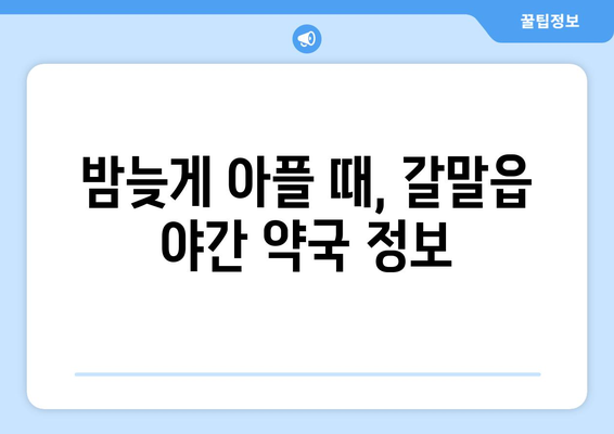 강원도 철원군 갈말읍 24시간 토요일 일요일 휴일 공휴일 야간 약국