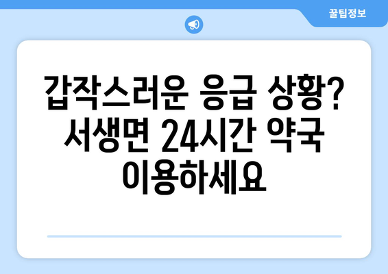 울산시 울주군 서생면 24시간 토요일 일요일 휴일 공휴일 야간 약국