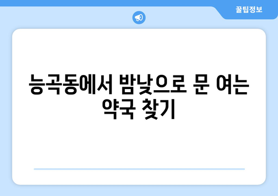 경기도 시흥시 능곡동 24시간 토요일 일요일 휴일 공휴일 야간 약국