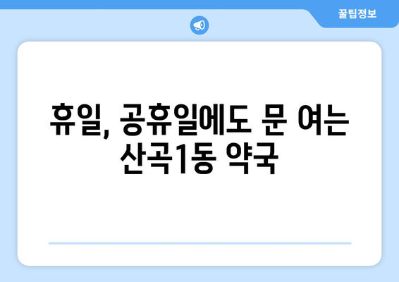 인천시 부평구 산곡1동 24시간 토요일 일요일 휴일 공휴일 야간 약국