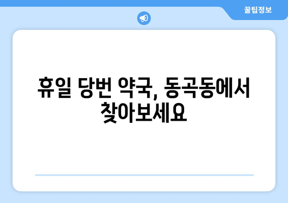 광주시 광산구 동곡동 24시간 토요일 일요일 휴일 공휴일 야간 약국