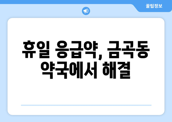 부산시 북구 금곡동 24시간 토요일 일요일 휴일 공휴일 야간 약국