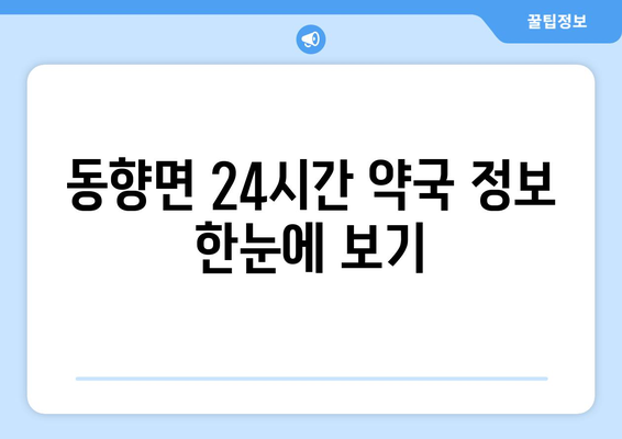 전라북도 진안군 동향면 24시간 토요일 일요일 휴일 공휴일 야간 약국