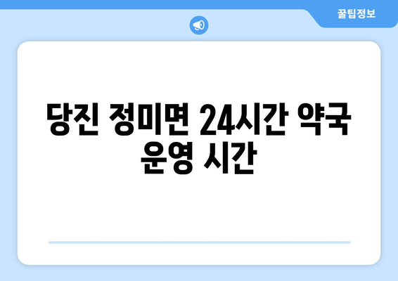 충청남도 당진시 정미면 24시간 토요일 일요일 휴일 공휴일 야간 약국