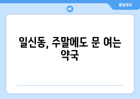 인천시 부평구 일신동 24시간 토요일 일요일 휴일 공휴일 야간 약국