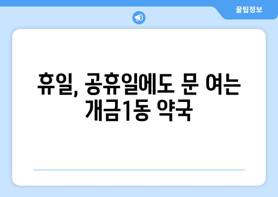 부산시 부산진구 개금1동 24시간 토요일 일요일 휴일 공휴일 야간 약국