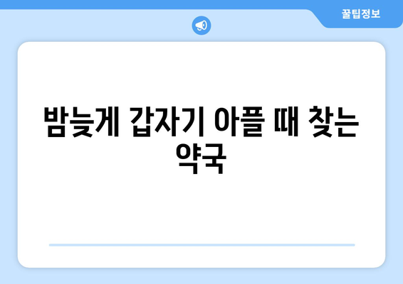 충청북도 음성군 원남면 24시간 토요일 일요일 휴일 공휴일 야간 약국