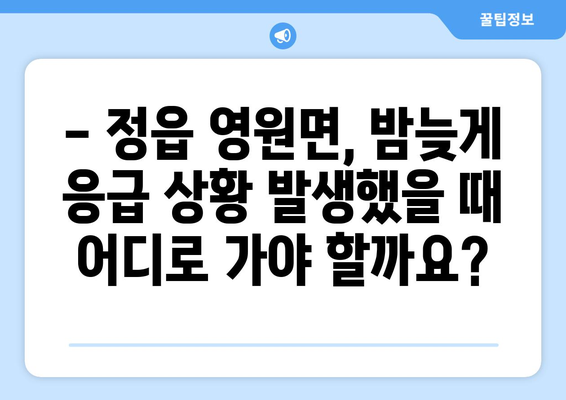 전라북도 정읍시 영원면 일요일 휴일 공휴일 야간 진료병원 리스트