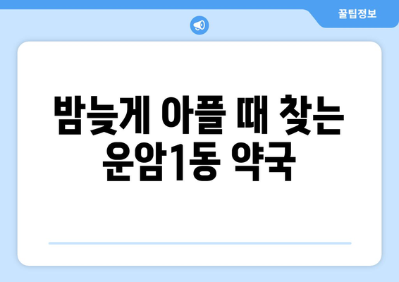 광주시 북구 운암1동 24시간 토요일 일요일 휴일 공휴일 야간 약국