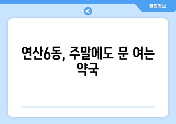 부산시 연제구 연산6동 24시간 토요일 일요일 휴일 공휴일 야간 약국