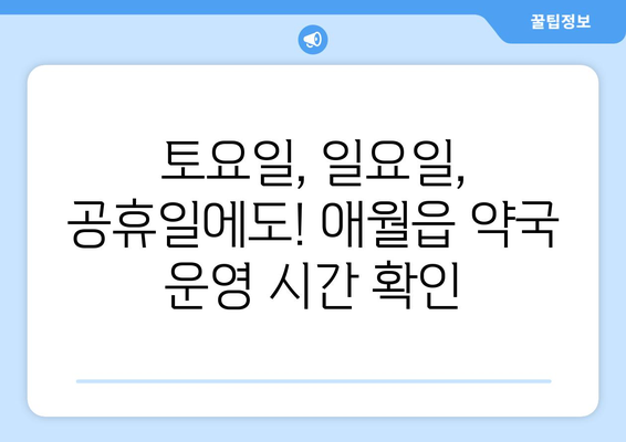 제주도 제주시 애월읍 24시간 토요일 일요일 휴일 공휴일 야간 약국