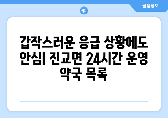 경상남도 하동군 진교면 24시간 토요일 일요일 휴일 공휴일 야간 약국