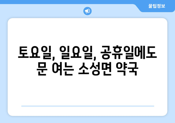 전라북도 정읍시 소성면 24시간 토요일 일요일 휴일 공휴일 야간 약국