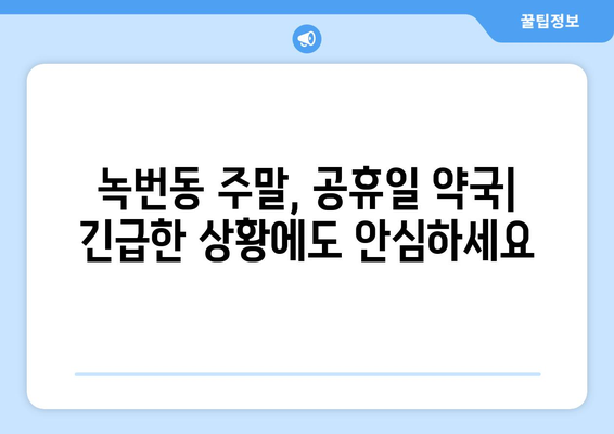 서울시 은평구 녹번동 24시간 토요일 일요일 휴일 공휴일 야간 약국