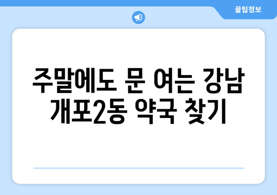 서울시 강남구 개포2동 24시간 토요일 일요일 휴일 공휴일 야간 약국