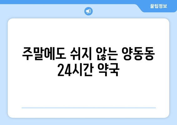 광주시 서구 양동 24시간 토요일 일요일 휴일 공휴일 야간 약국