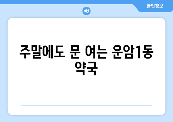 광주시 북구 운암1동 24시간 토요일 일요일 휴일 공휴일 야간 약국