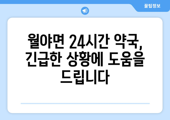 전라남도 함평군 월야면 24시간 토요일 일요일 휴일 공휴일 야간 약국