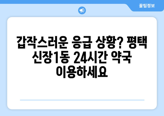 경기도 평택시 신장1동 24시간 토요일 일요일 휴일 공휴일 야간 약국