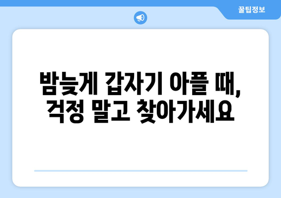 서울시 관악구 보라매동 24시간 토요일 일요일 휴일 공휴일 야간 약국