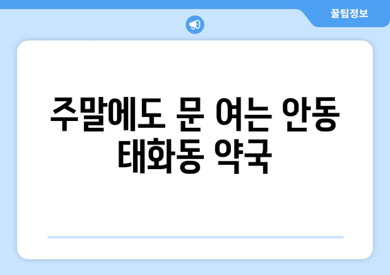 경상북도 안동시 태화동 24시간 토요일 일요일 휴일 공휴일 야간 약국