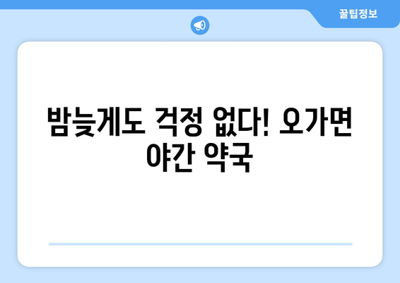 충청남도 예산군 오가면 24시간 토요일 일요일 휴일 공휴일 야간 약국