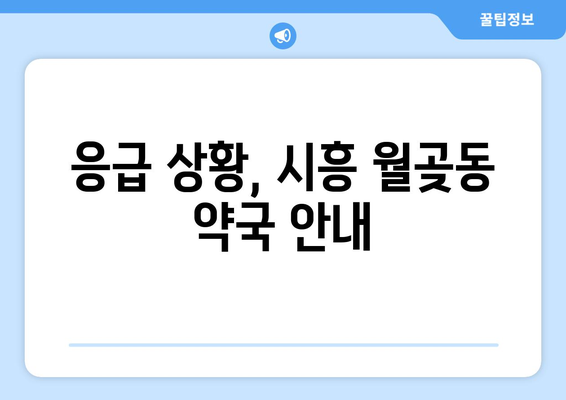 경기도 시흥시 월곶동 24시간 토요일 일요일 휴일 공휴일 야간 약국