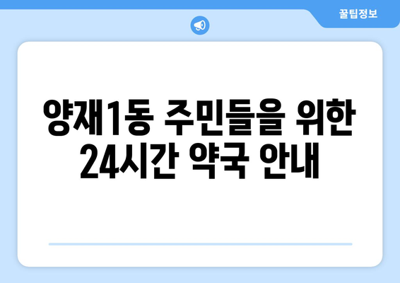 서울시 서초구 양재1동 24시간 토요일 일요일 휴일 공휴일 야간 약국