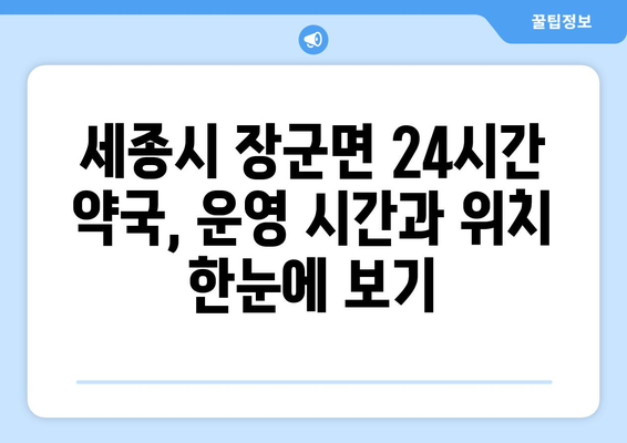 세종시 세종특별자치시 장군면 24시간 토요일 일요일 휴일 공휴일 야간 약국