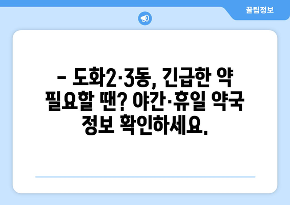 인천시 미추홀구 도화2·3동 24시간 토요일 일요일 휴일 공휴일 야간 약국