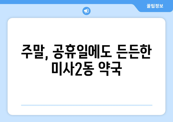 경기도 하남시 미사2동 24시간 토요일 일요일 휴일 공휴일 야간 약국