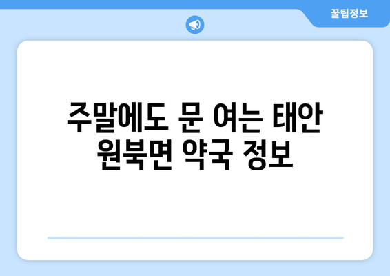 충청남도 태안군 원북면 24시간 토요일 일요일 휴일 공휴일 야간 약국