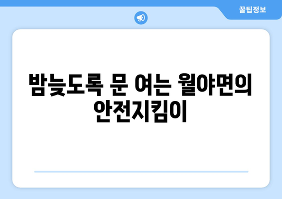 전라남도 함평군 월야면 24시간 토요일 일요일 휴일 공휴일 야간 약국