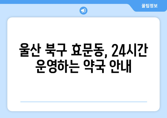 울산시 북구 효문동 24시간 토요일 일요일 휴일 공휴일 야간 약국