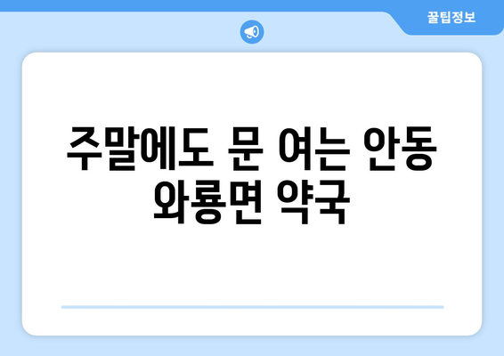 경상북도 안동시 와룡면 24시간 토요일 일요일 휴일 공휴일 야간 약국