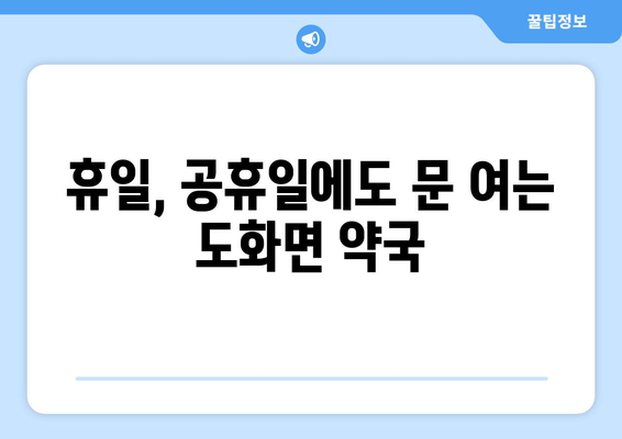 전라남도 고흥군 도화면 24시간 토요일 일요일 휴일 공휴일 야간 약국