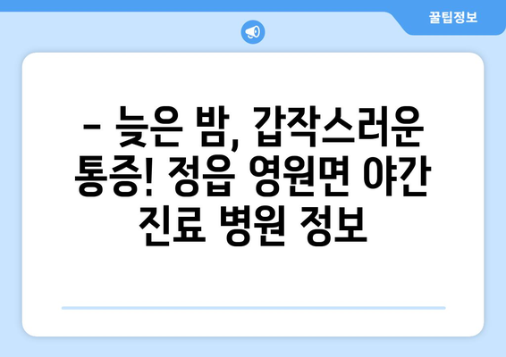 전라북도 정읍시 영원면 일요일 휴일 공휴일 야간 진료병원 리스트