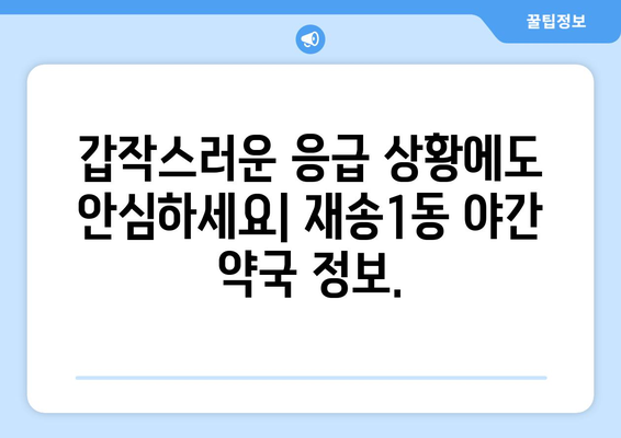 부산시 해운대구 재송1동 24시간 토요일 일요일 휴일 공휴일 야간 약국