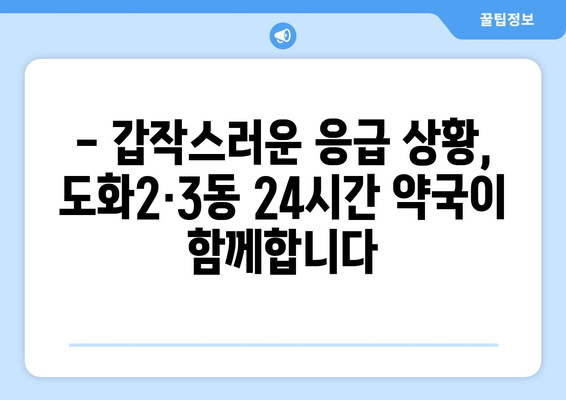 인천시 미추홀구 도화2·3동 24시간 토요일 일요일 휴일 공휴일 야간 약국