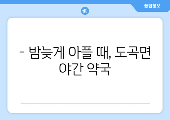 전라남도 화순군 도곡면 24시간 토요일 일요일 휴일 공휴일 야간 약국