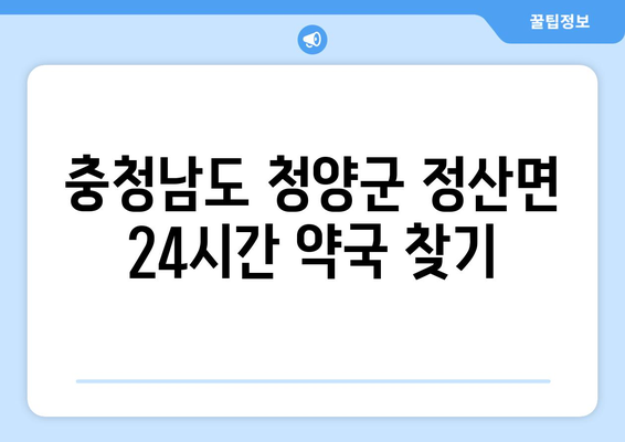 충청남도 청양군 정산면 24시간 토요일 일요일 휴일 공휴일 야간 약국