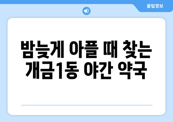 부산시 부산진구 개금1동 24시간 토요일 일요일 휴일 공휴일 야간 약국