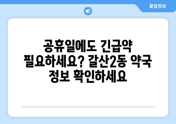 인천시 부평구 갈산2동 24시간 토요일 일요일 휴일 공휴일 야간 약국