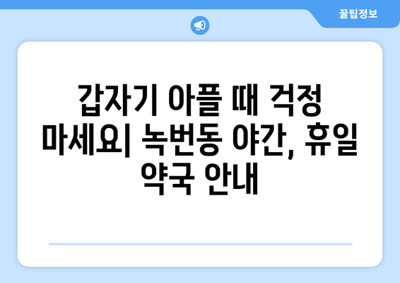 서울시 은평구 녹번동 24시간 토요일 일요일 휴일 공휴일 야간 약국