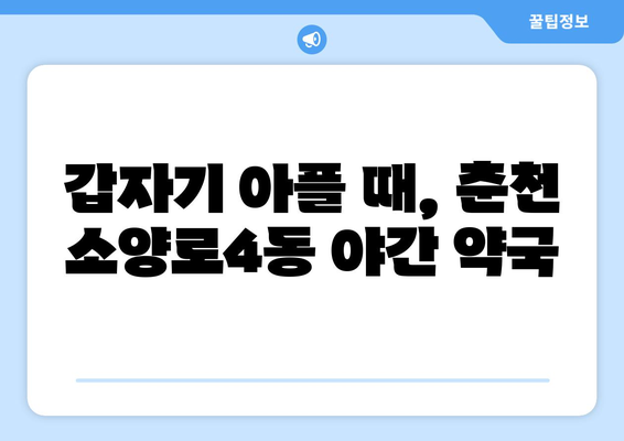 강원도 춘천시 소양로4동 24시간 토요일 일요일 휴일 공휴일 야간 약국