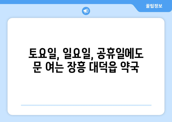 전라남도 장흥군 대덕읍 24시간 토요일 일요일 휴일 공휴일 야간 약국