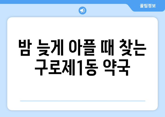 서울시 구로구 구로제1동 24시간 토요일 일요일 휴일 공휴일 야간 약국