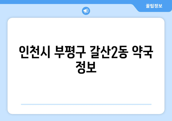 인천시 부평구 갈산2동 24시간 토요일 일요일 휴일 공휴일 야간 약국